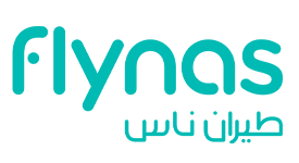 FLY NAS logo